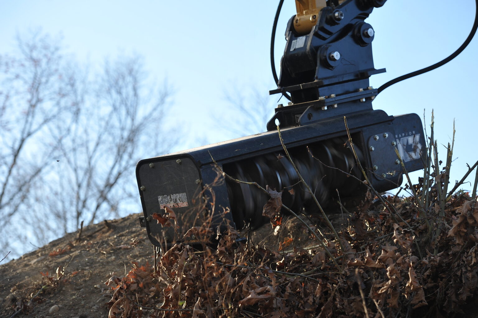 Tree Trimming Servicing Mass and New Hampshire