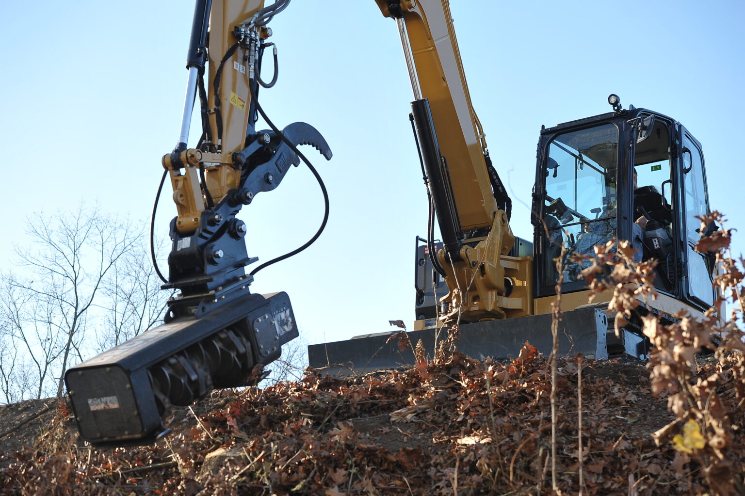 tree services