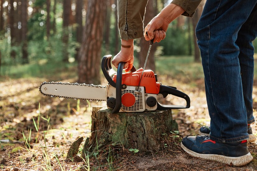 tree stump grinding service